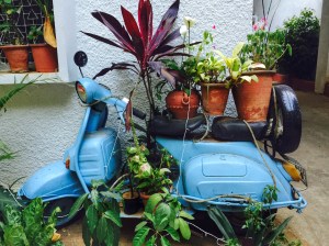 discovering hidden gems while house hunting. bangalore, india. march 2015.