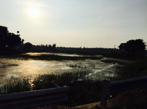 sunset over the lake on the drive to mandya. rural karnataka, india. april 2014.