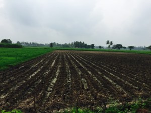 with views like this, how can you not just sit and stare? rural karnataka, india. april 2015.