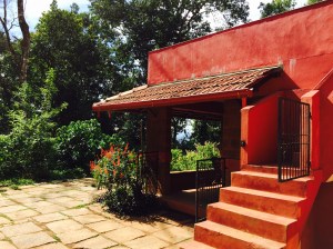 one of my favourite places in the world. coorg, india. june 2015.