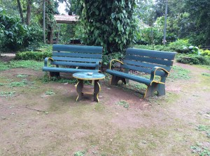 the perfect place to drink chai and read. coorg, india. june 2015.