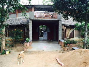 one of my favourite spots in all of bangalore: the farm. bangalore, india. july 2015.