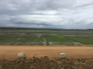 rural karnataka. august 2015.