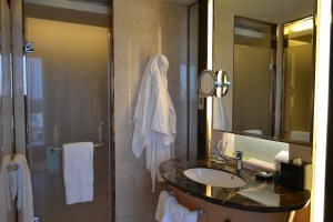 bathroom. bangalore, india. october 2015.