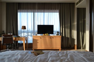 the view from the bed. bangalore, india. october 2015.