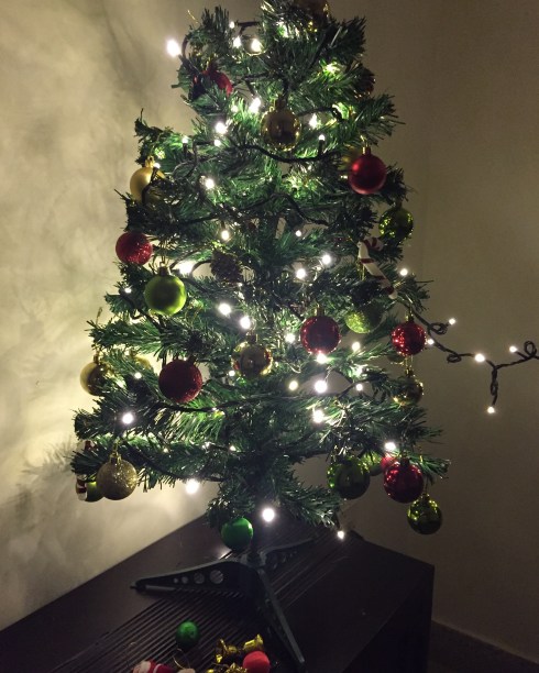 2015-12-12 18.58.33-2