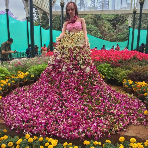 2016-01-24 09.02.29-2