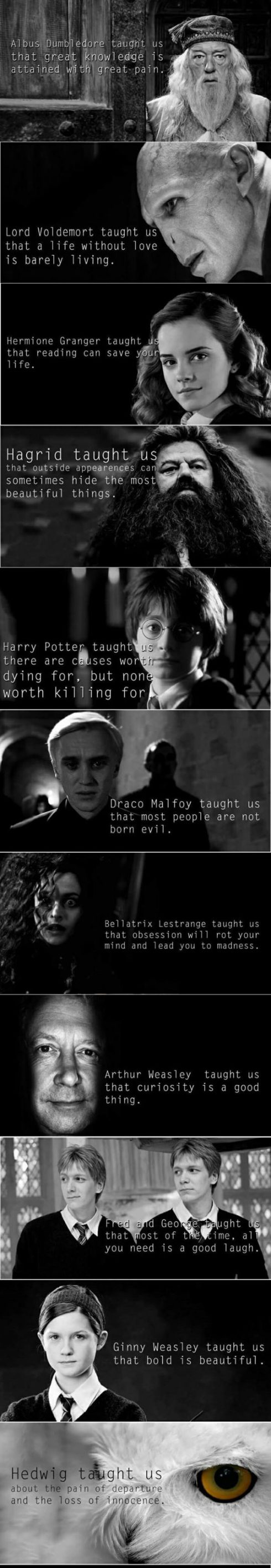 funny-Harry-Potter-teach-us-characters