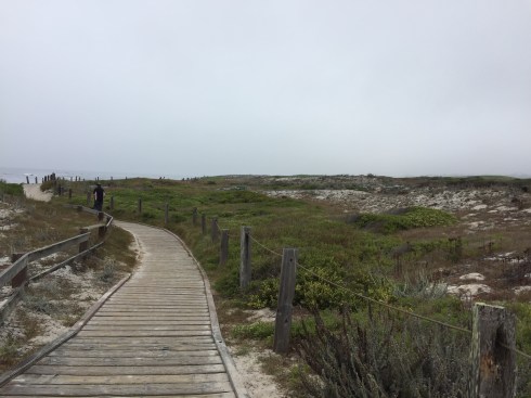 2017-08-29 10.01.28-1