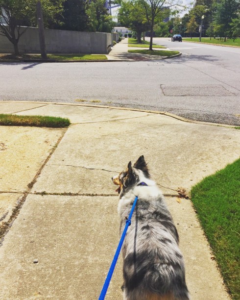 2017-09-20 13.11.40-1