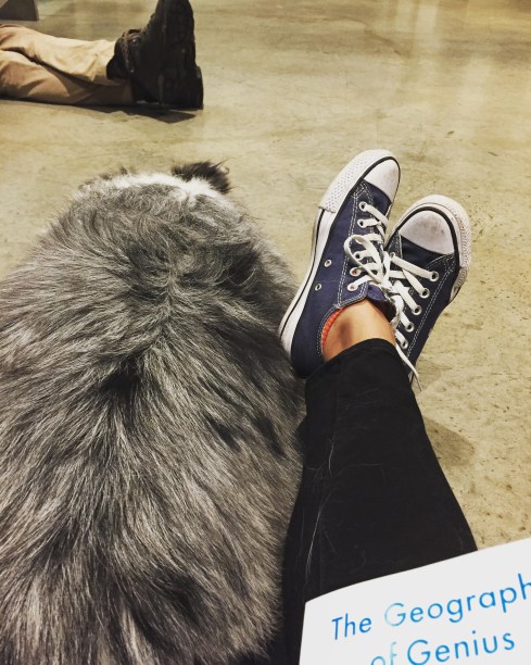 2018-09-24 21.02.23-1