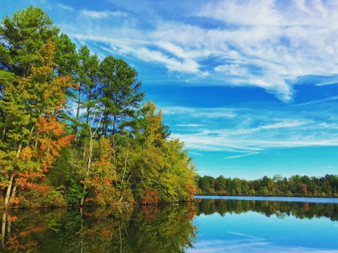 2018-10-19 09.28.32-1