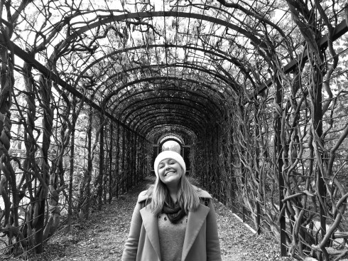 2018-11-18 12.48.17 hdr