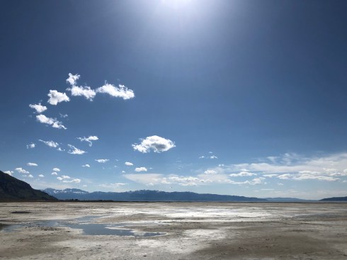 2019-05-02 16.38.56-1