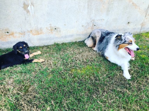 2019-05-07 14.13.31-2