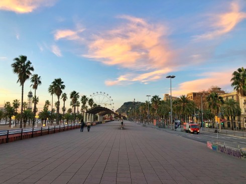 2019-12-15 08.10.29-1